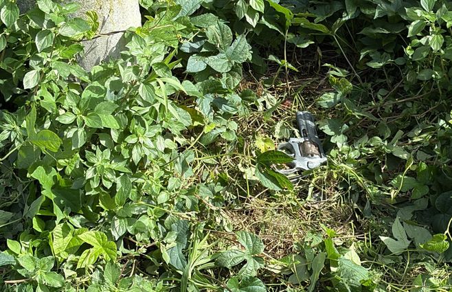 Foto: Mª. Eugenia Scognamiglio, Subrayado. Arma incautada a delincuentes.