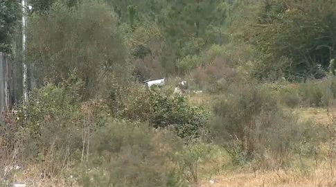 Investigan como homicidio el caso del hombre que apareció desmembrado en San Luis con disparos en las piernas