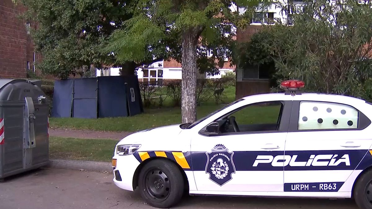 Investigan la muerte de un hombre cuyo cuerpo fue encontrado bajo un árbol en Punta Gorda