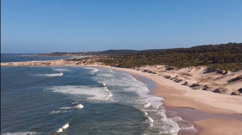 Veda por marea roja: prohíben extracción, venta y transporte de moluscos bivalvos en Rocha