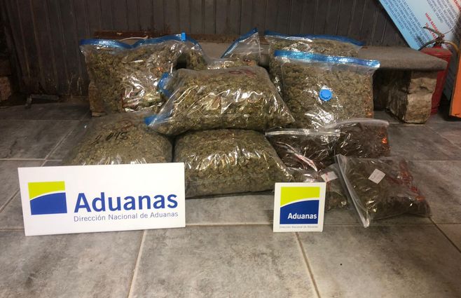 La marihuana incautada en el Chuy por la Aduana.