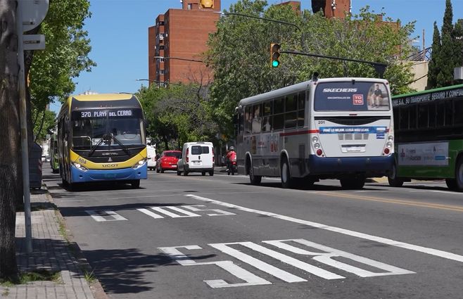 senda-solo-bus-omnibus-transito-montevideo