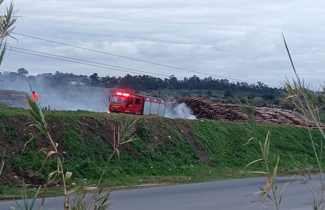 El depósito de troncos afectado por el incendio. Foto: Subrayado.