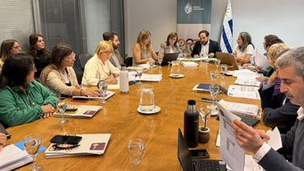 junta nacional de cuidados prepara plan a presentar antes del 1 de julio: tema es pilar fundamental del presupuesto