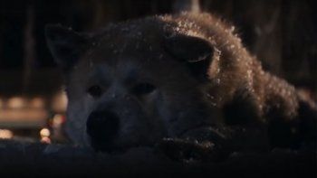 Subrayado | CINE PERROS