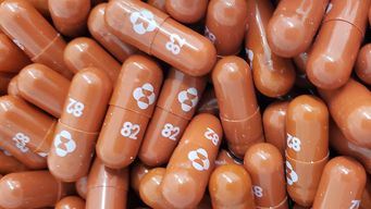 el reino unido, primer pais que aprueba la pildora contra el covid-19 de merck