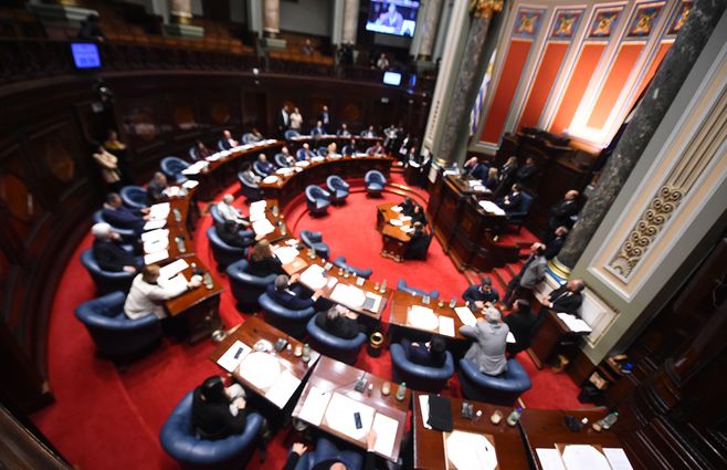 sesion-senado-disculpas-da-silva-viera-focouy
