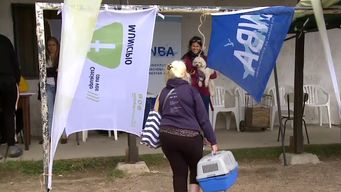 mas de 100 mil mascotas fueron chipeadas desde que comenzo el registro; esperan duplicar la cifra