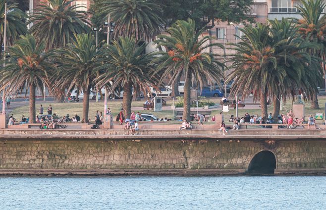 focouy-rambla-montevideo-verano-palmeras-calor-caluroso