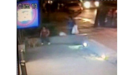 Cámara de seguridad registró el robo de un perro en Pocitos
