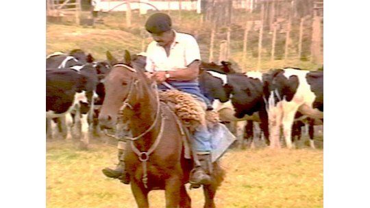 Nuevas camionetas refuerzan asistencia de salud en zonas rurales