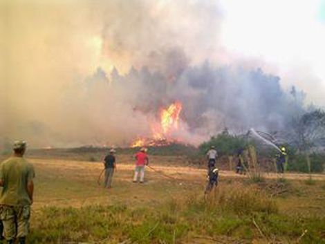 Bomberos trabaja para apagar incendio en Punta del Diablo