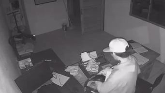 robo en comercio de balneario buenos aires: encontraron al ladron dormido dentro del local