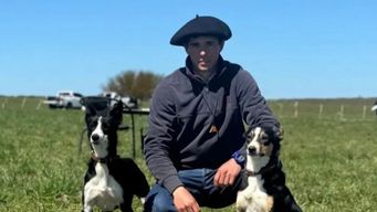 solidaridad: nahuel y sus border collie necesitan colaboracion para viajar al mundial de perros de pastoreo en escocia