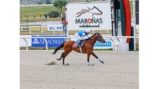 Atractivas competencias para el fin de semana hípico