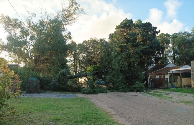 tormenta piriapolos (11).jpeg