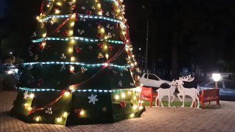 El árbol gigante de Navidad en Florida fue vandalizado por tercera vez desde que se inauguró.