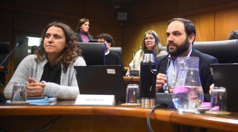 Ministro Gonzalo Civila y Mercedes Clara, directora de Gestión Territorial del Mides, en la Comisión del Parlamento. Foto: FocoUy