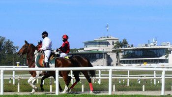 Subrayado | Maroñas-mayo-16-volvio-turf.jpg