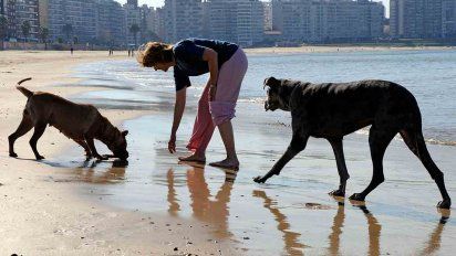 tiempo algo nuboso y maxima de 25ºc en montevideo