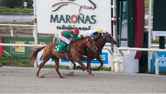 descocado turf