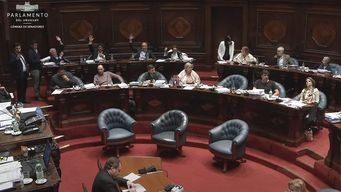 con la derogacion del adicional al fondo, el senado aprobo la rendicion que pasa a diputados