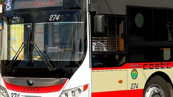 paro en la linea 456 de coetc por rapina se mantiene hasta el jueves