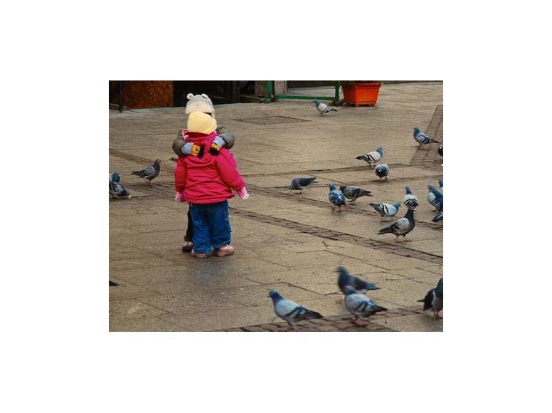 MSP emite recomendaciones ante frío polar