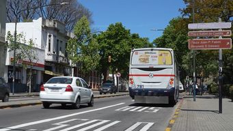 solo bus: bergara aseguro que en algunas sendas la velocidad de los omnibus ha aumentado de 10 a 12%