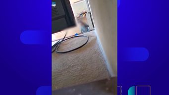 padres de alumnos de escuela de colon denuncian a maestra por episodios violentos; primaria tomo el caso