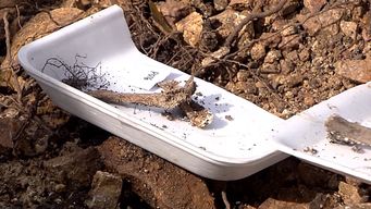 restos del batallon 14: de momento las informaciones que nos han aportado no han podido establecer la identidad