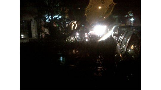 Decenas de árboles caídos y shopping desalojado por la tormenta