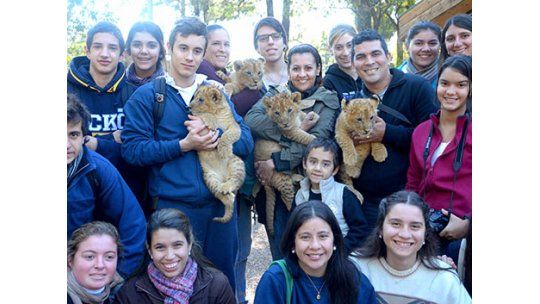 Salto bautizó a los leones del Zoo: Celeste, Ringo, Roland y Zeus