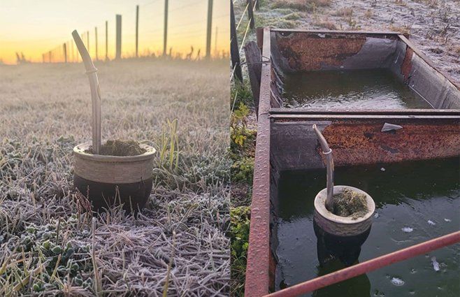 Frío polar en Fray Bentos, con agua congelada en el campo y heladas. Foto: enviada al corresponsal de Subrayado Daniel Rojas.