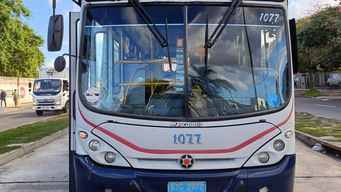 un peaton murio tras ser embestido por un coche de cutcsa en la zona del hipodromo de maronas