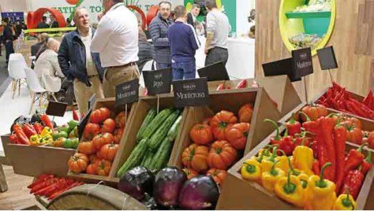 producción hortifrutcola