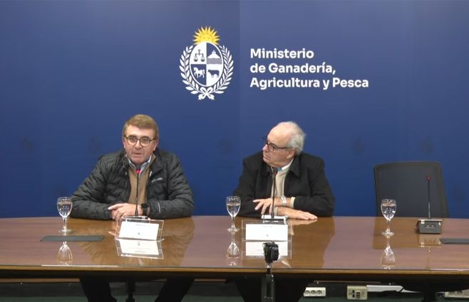 fratti-viera.jpg