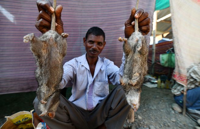 RATA-INDIA-AFP.jpg