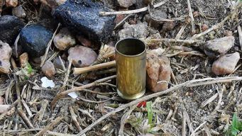 ataque a tiros deja a un hombre muerto y otro herido en nueva espana