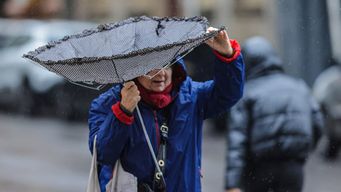 Foto: FocoUy. Foto: FocoUy.