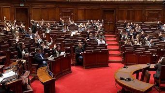 diputados aprobo por mayoria declaracion que condena atentado a monica ferrero