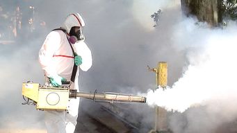 MSP fumiga por control de mosquitos, ante aumento de casos de dengue.