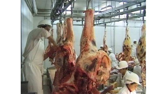 Funcionarios de Industria Animal levantan medidas