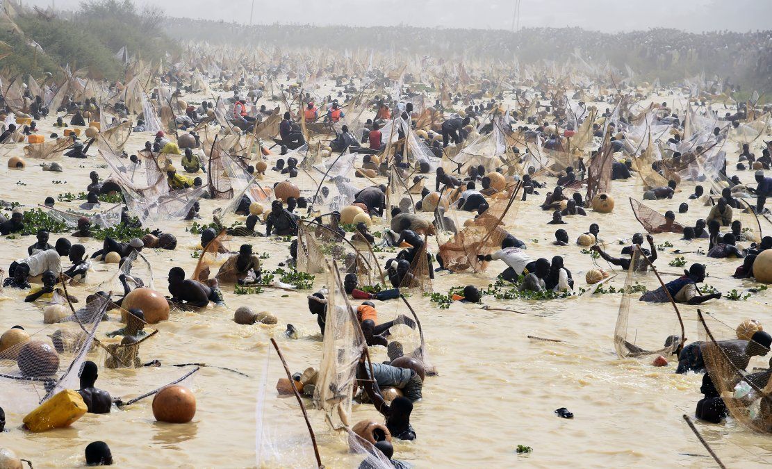 Los pescadores intentan atrapar peces durante la final del festival cultural y pesquero Argungu, en el noroeste de Nigeria