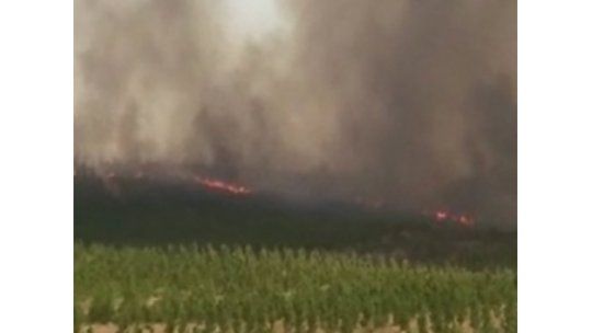 Indagan a militar como presunto autor de incendio en Cerro Largo