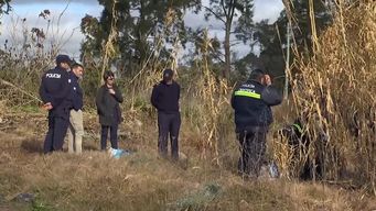 policia investiga muerte de un hombre; parte de su cuerpo fue comido por perros