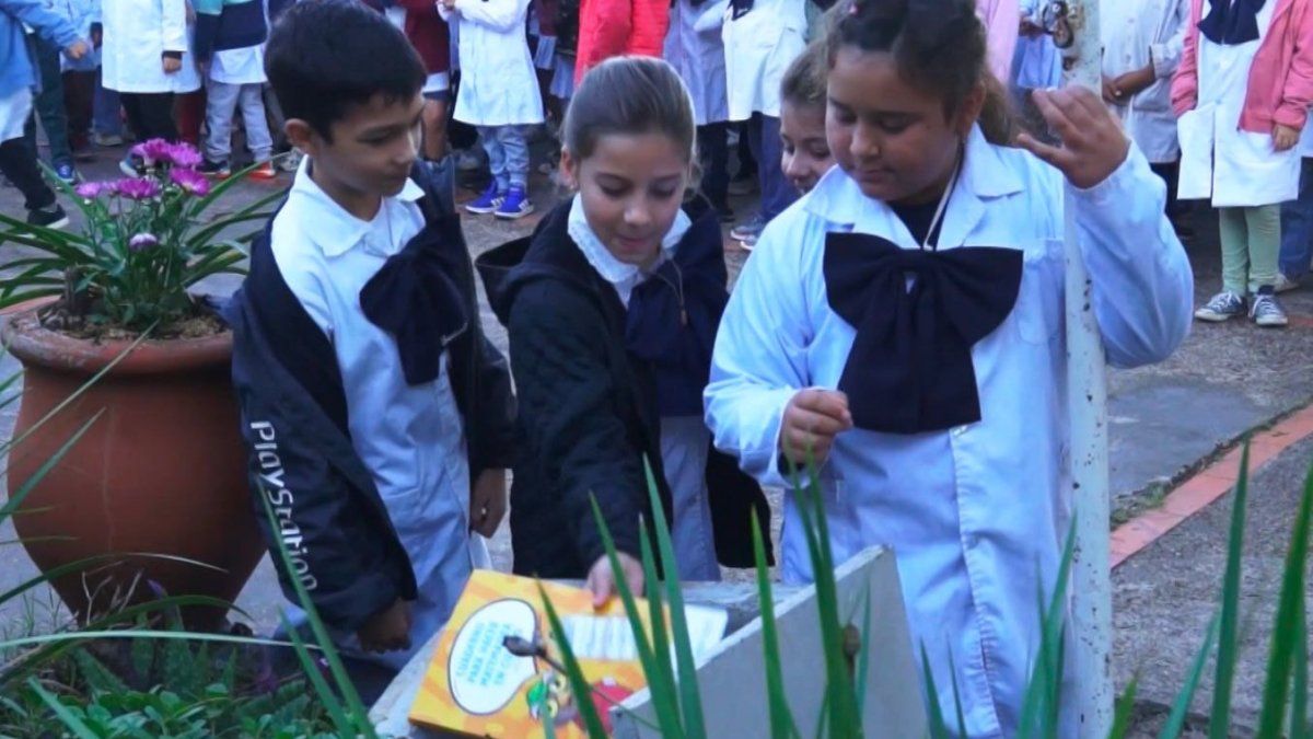 Alumnos de una escuela de Paysandú crearon una cápsula del tiempo y la abrirán en 10 años