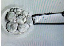 Inseminación artificial: primer intento costará unos 4.000 pesos