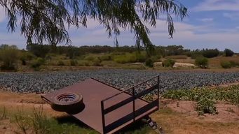 lacalle pou repaso las medidas de apoyo a productores para enfrentar las consecuencias de la sequia