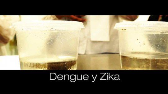 Dengue y Zika